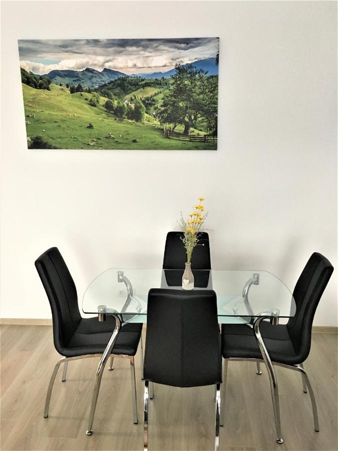 Mountain View Escape Apartment Brasov Luaran gambar